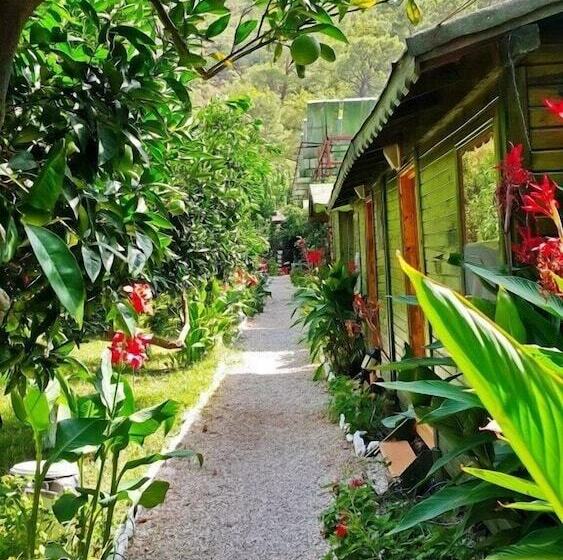 Olympos Tatilya Pansiyon