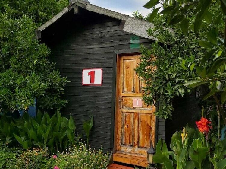 Olympos Tatilya Pansiyon