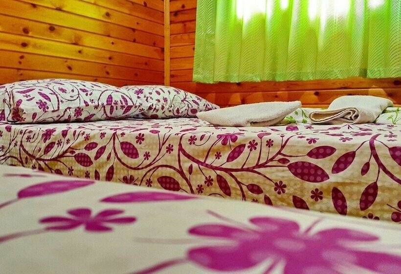 Olympos Tatilya Pansiyon