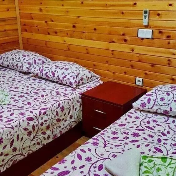 Olympos Tatilya Pansiyon