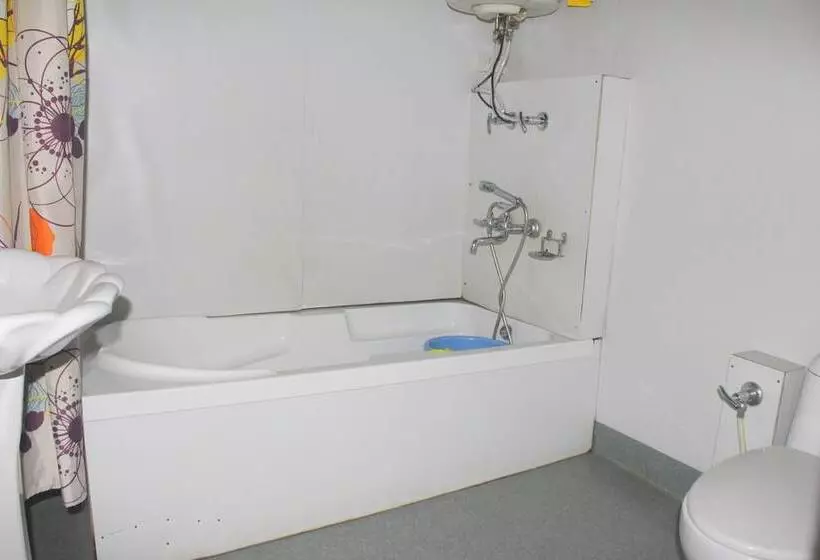 Hotelli Appollo Eleven Group Of Houseboats