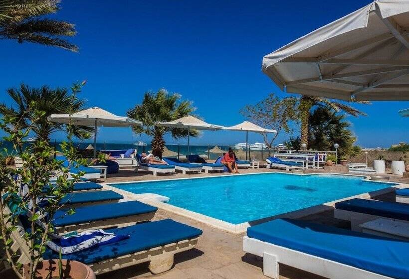 هتل Nemo Dive Club &