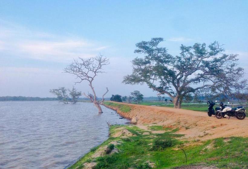 בית מלון כפרי Utopia Arugambay