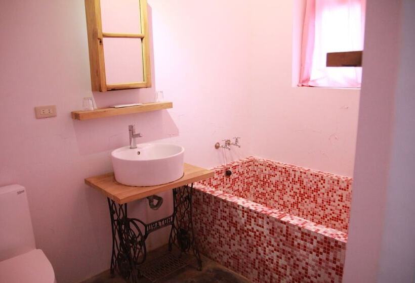 پانسیون Macarthur