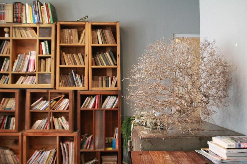 پانسیون Macarthur