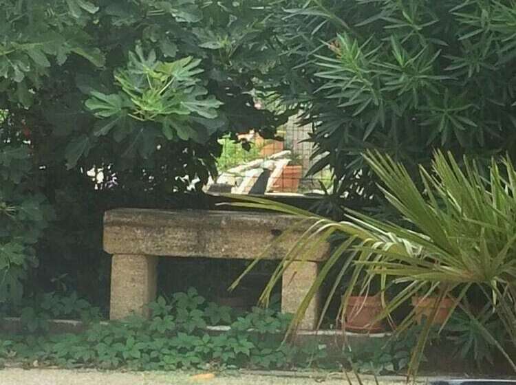 住宿加早餐  Chambres Salvaterra