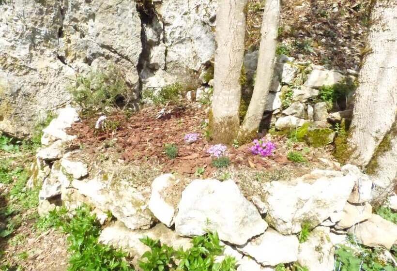 فندق Dtente Sky Lodge