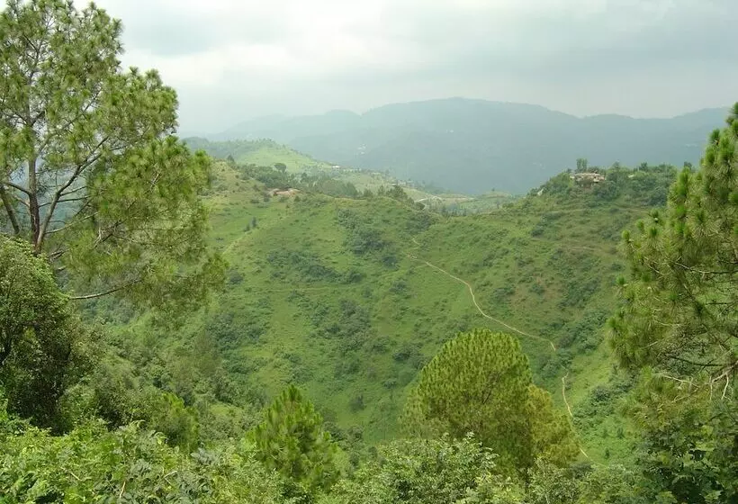 هتل Park Woods Shoghi