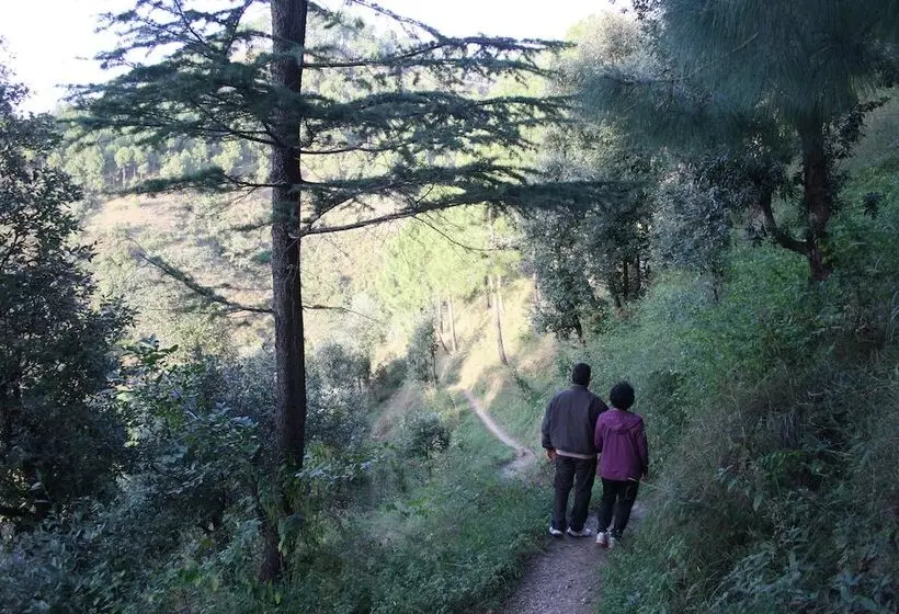 هتل Park Woods Shoghi