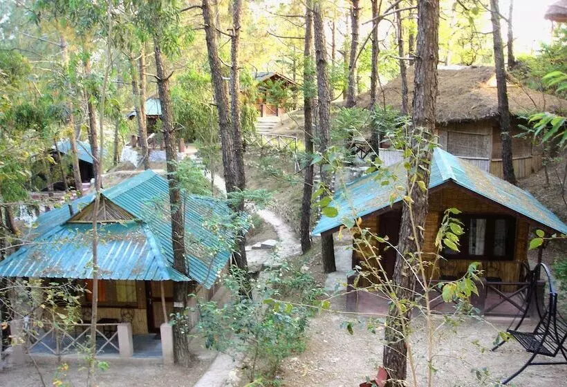 هتل Park Woods Shoghi