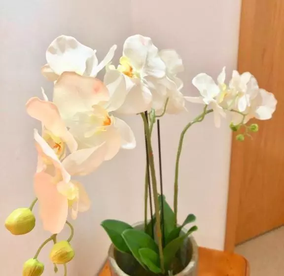 Aamiaismajoitus (B&B) Laurels