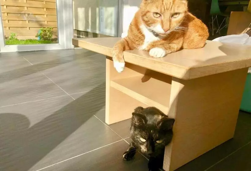 Aamiaismajoitus (B&B) Laurels