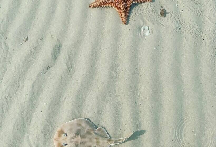 Hotel Posada Maria Isabel