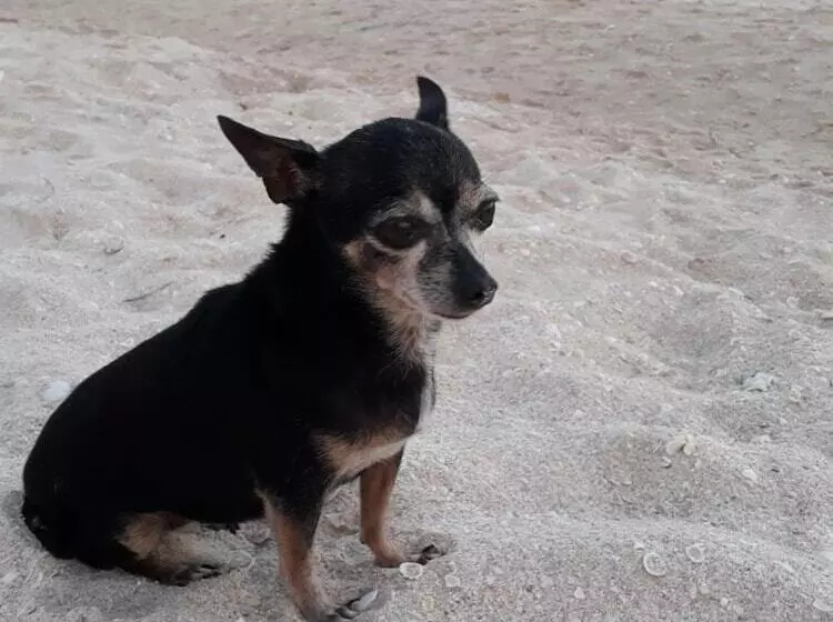 ホテル Posada Maria Isabel