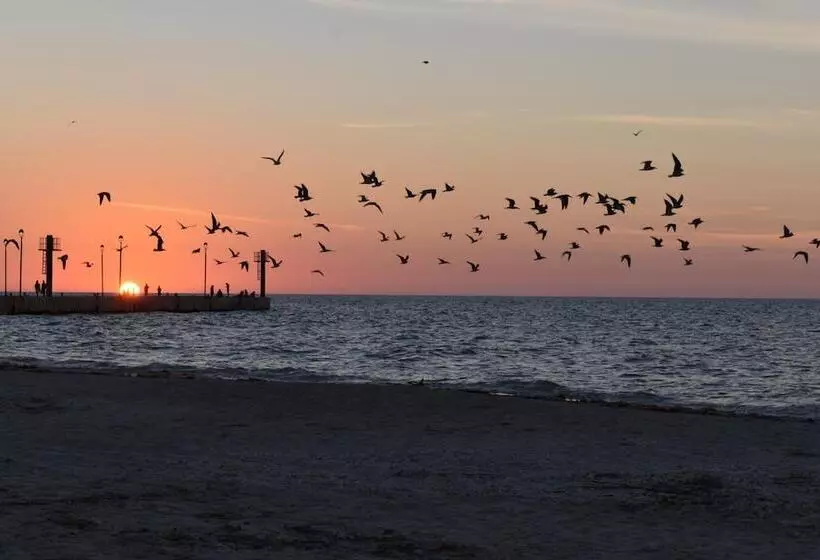 ホテル Posada Maria Isabel