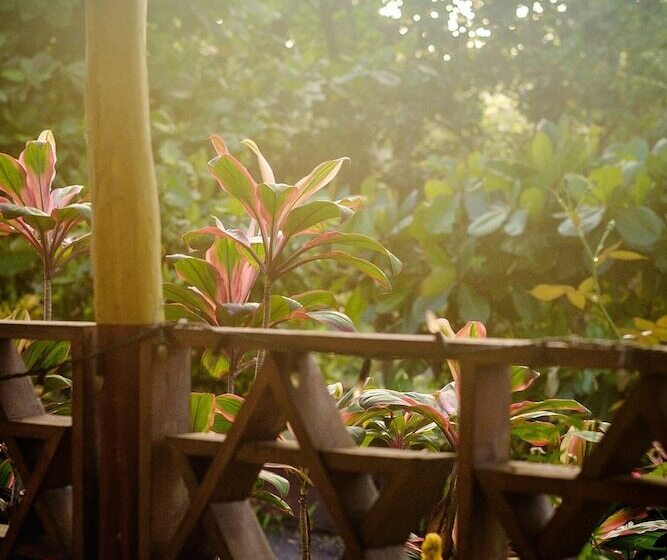 پانسیون The Lion House Jamaica