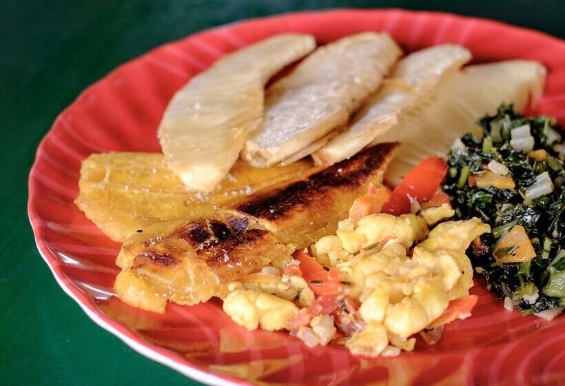 پانسیون The Lion House Jamaica