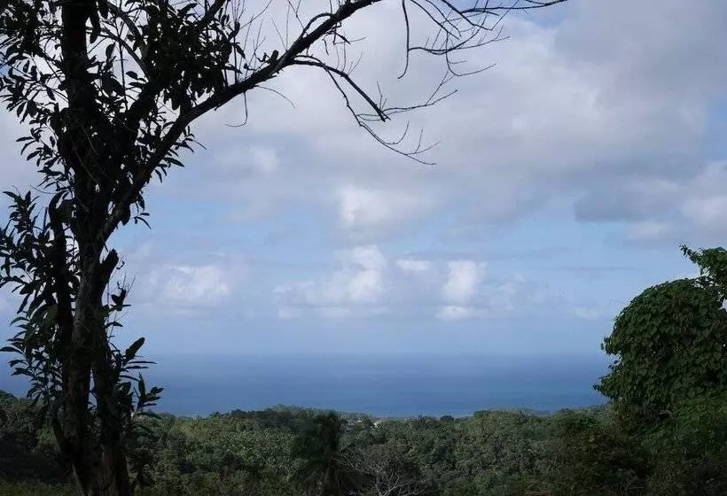 پانسیون The Lion House Jamaica