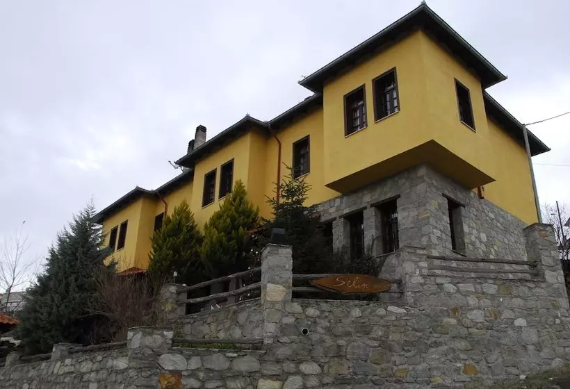 Pension Selini