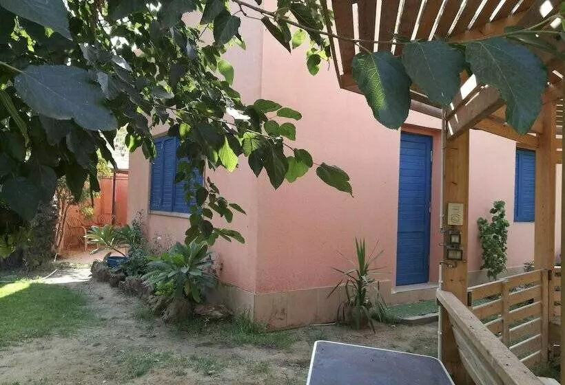 اقامتگاه Equestrian Guest House   Pyramids Egypt
