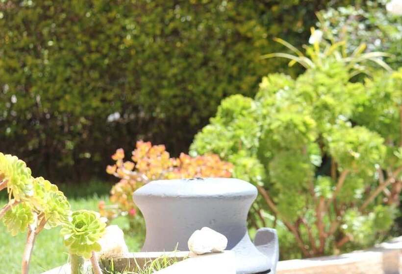 여관 Alma Boutique