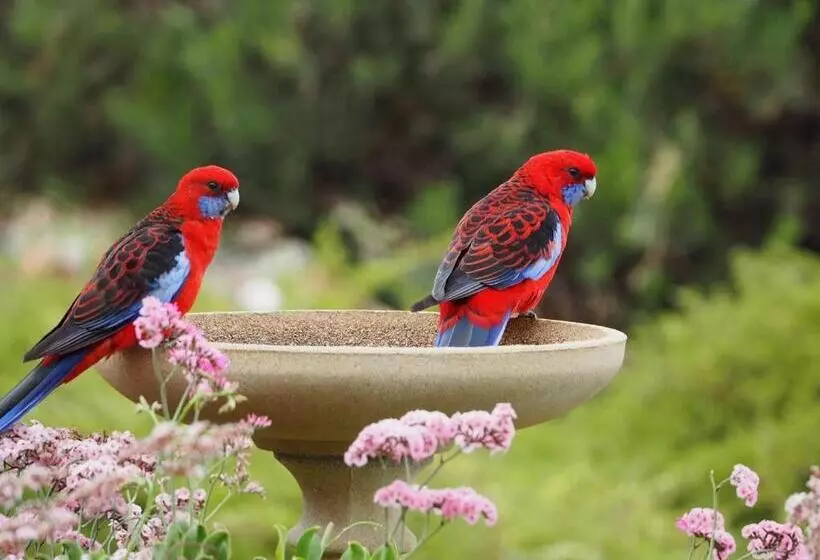 Emu Bay Holiday Homes
