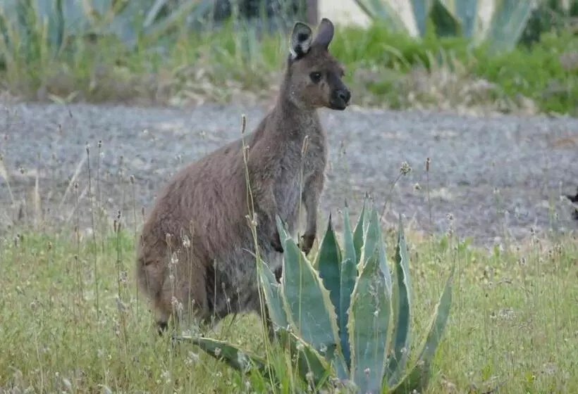 Emu Bay Holiday Homes