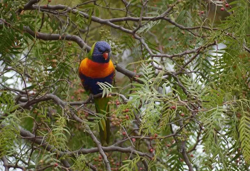Emu Bay Holiday Homes