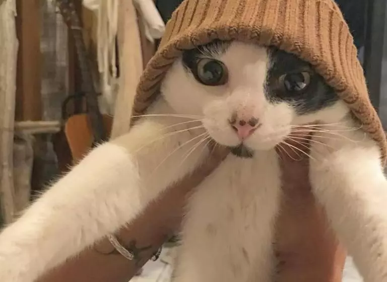 Majatalo Guest House Holoholo Ishigakijima