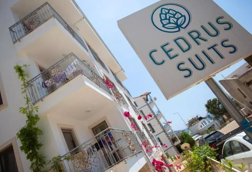Cedrus Suites