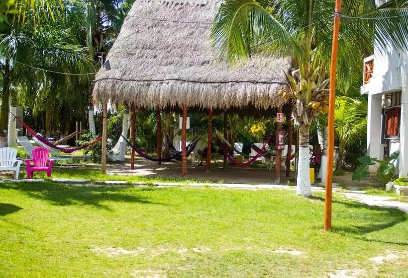 Golden Paradise Hostel