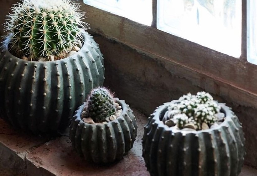 ホテル Mittermeiers Alter Ego