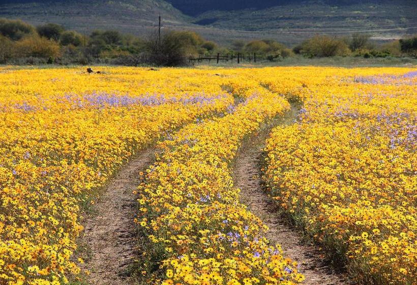 Отель Simbavati Cederberg Ridge