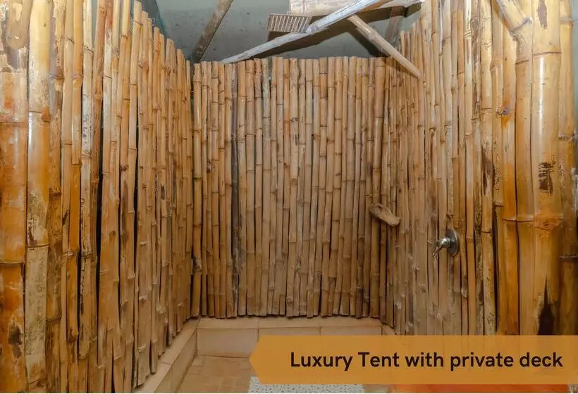 Hotelli Crocodile Bridge Safari Lodge