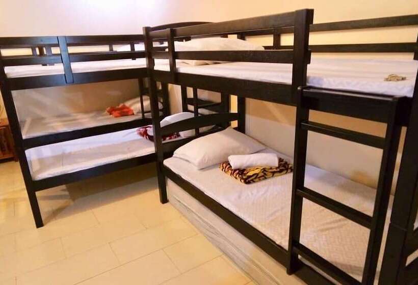 Joyful Island Hostel Cebu City