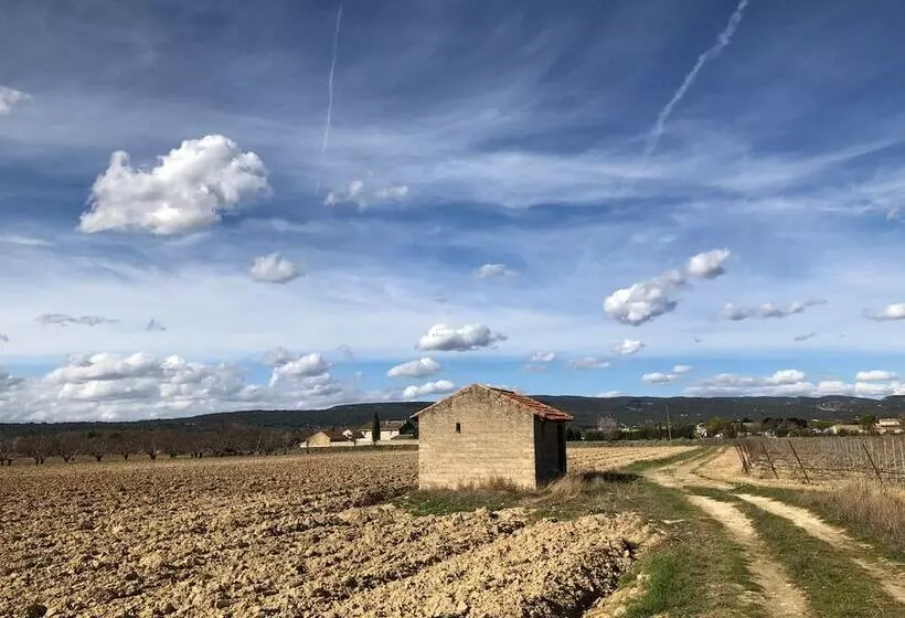 Pensió Zocalo Ranch