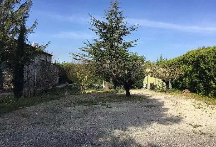 Pensió Zocalo Ranch