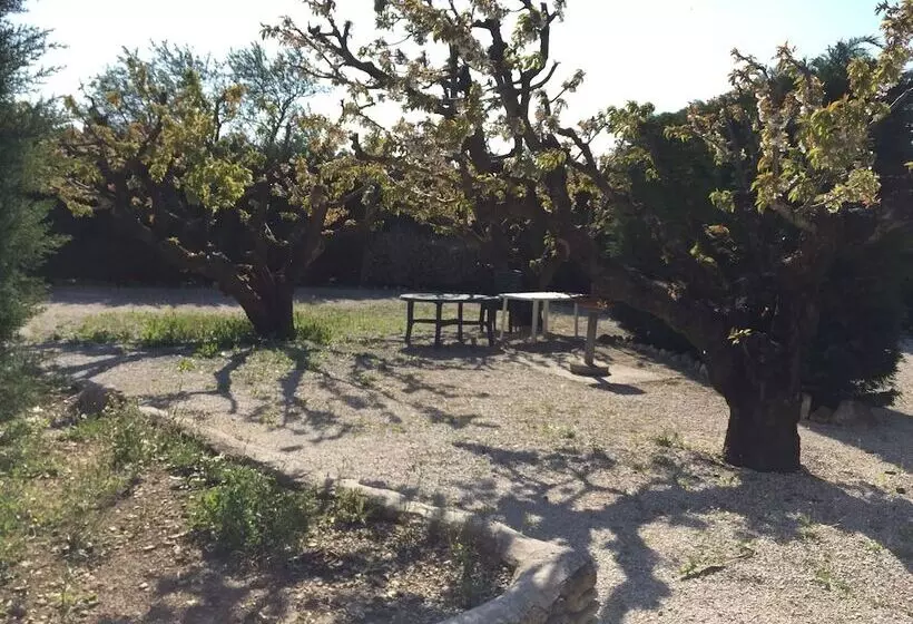 Pensió Zocalo Ranch