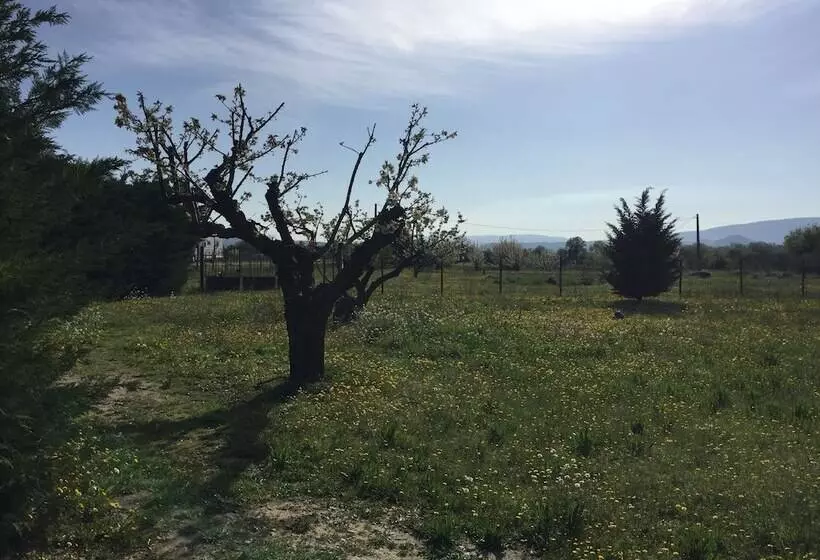 Pensió Zocalo Ranch