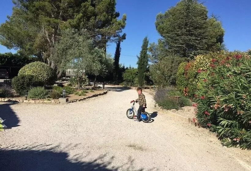 Pensió Zocalo Ranch