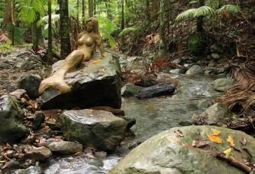 Rainforest Hideaway