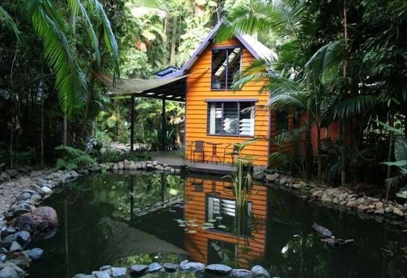 Rainforest Hideaway
