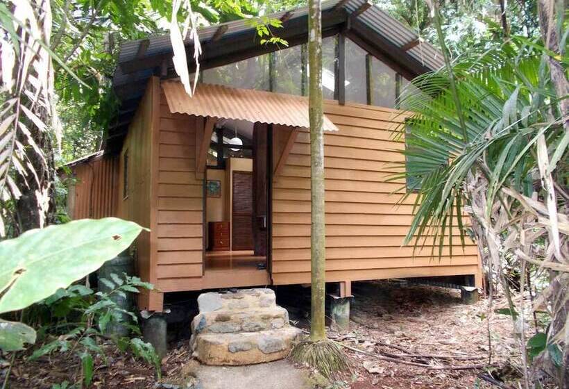 Rainforest Hideaway