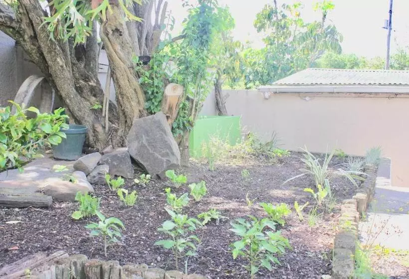 Selborne Bed And Breakfast