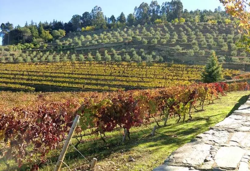 Villa With 3 Bedrooms In Torre De Moncorvo, With Wonderful Mountain View, Pool Access And Enclosed G