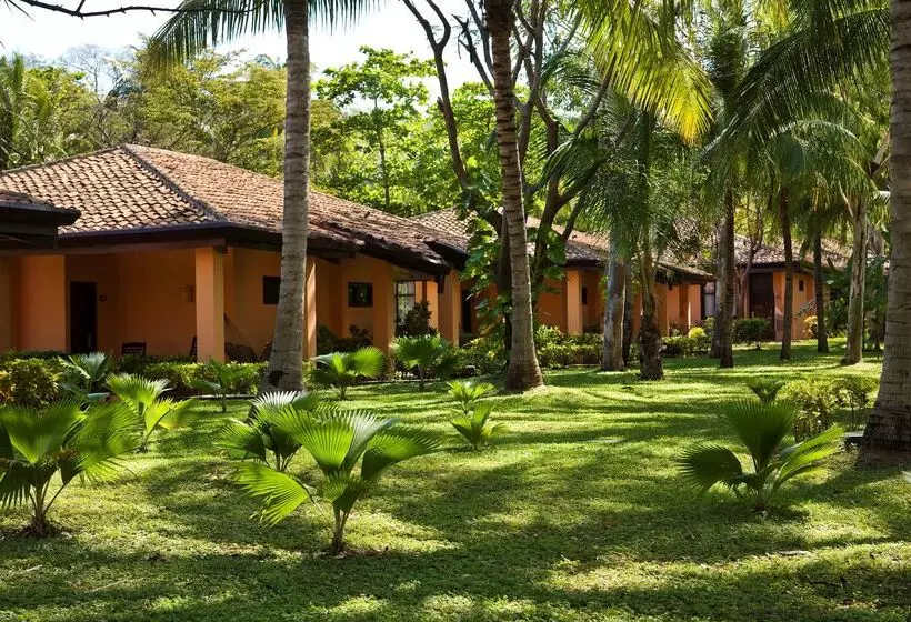 ホテル Barceló Montelimar All Inclusive