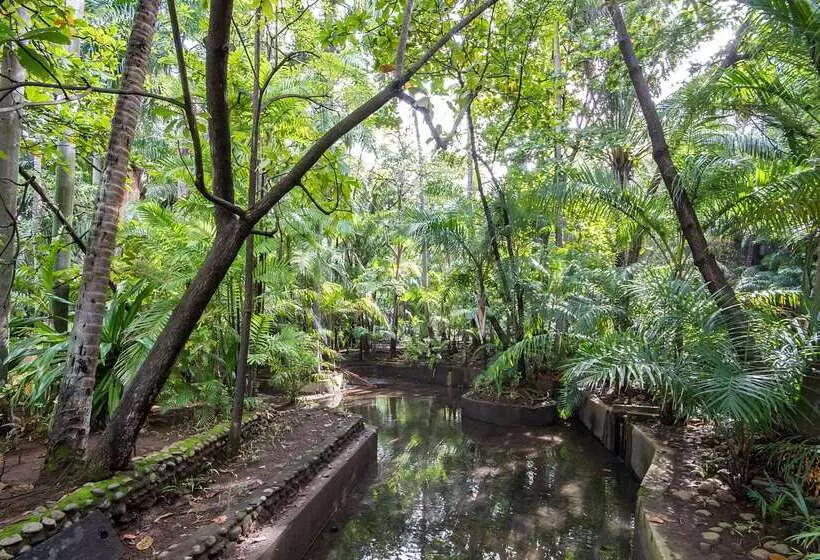 ホテル Barceló Montelimar All Inclusive