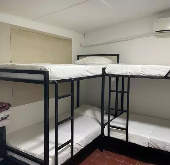 هاستل Hammocks   Hamacas