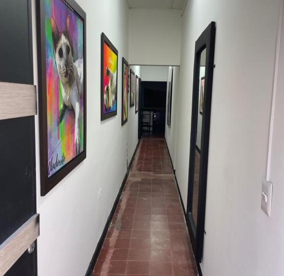 هاستل Hammocks Hamacas