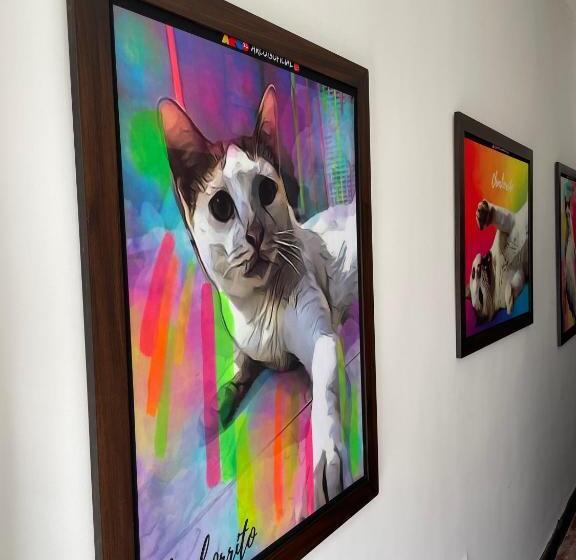 هاستل Hammocks Hamacas